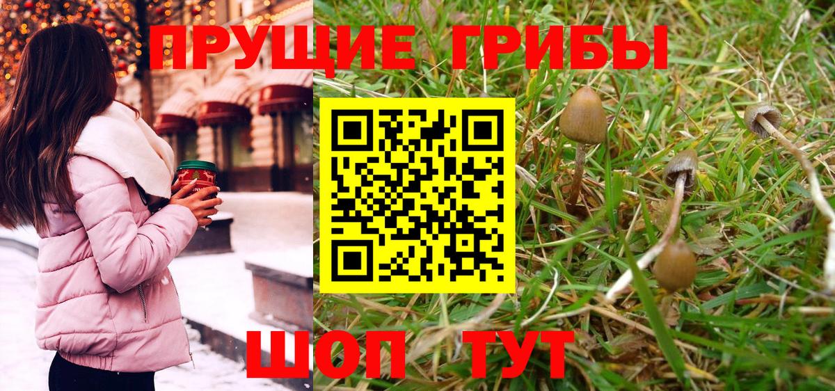 Псилоцибиновые грибы GOLDEN TEACHER Стрежевой