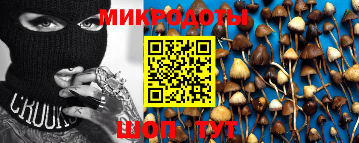 Галлюциногенные грибы мухоморы  Вход с VPN  где можно купить   Стрежевой  Галлюциногенные грибы Cubensis 